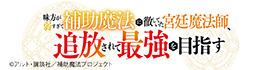,味方が弱すぎて補助魔法に徹していた宮廷魔法師、追放されて最強を目指す